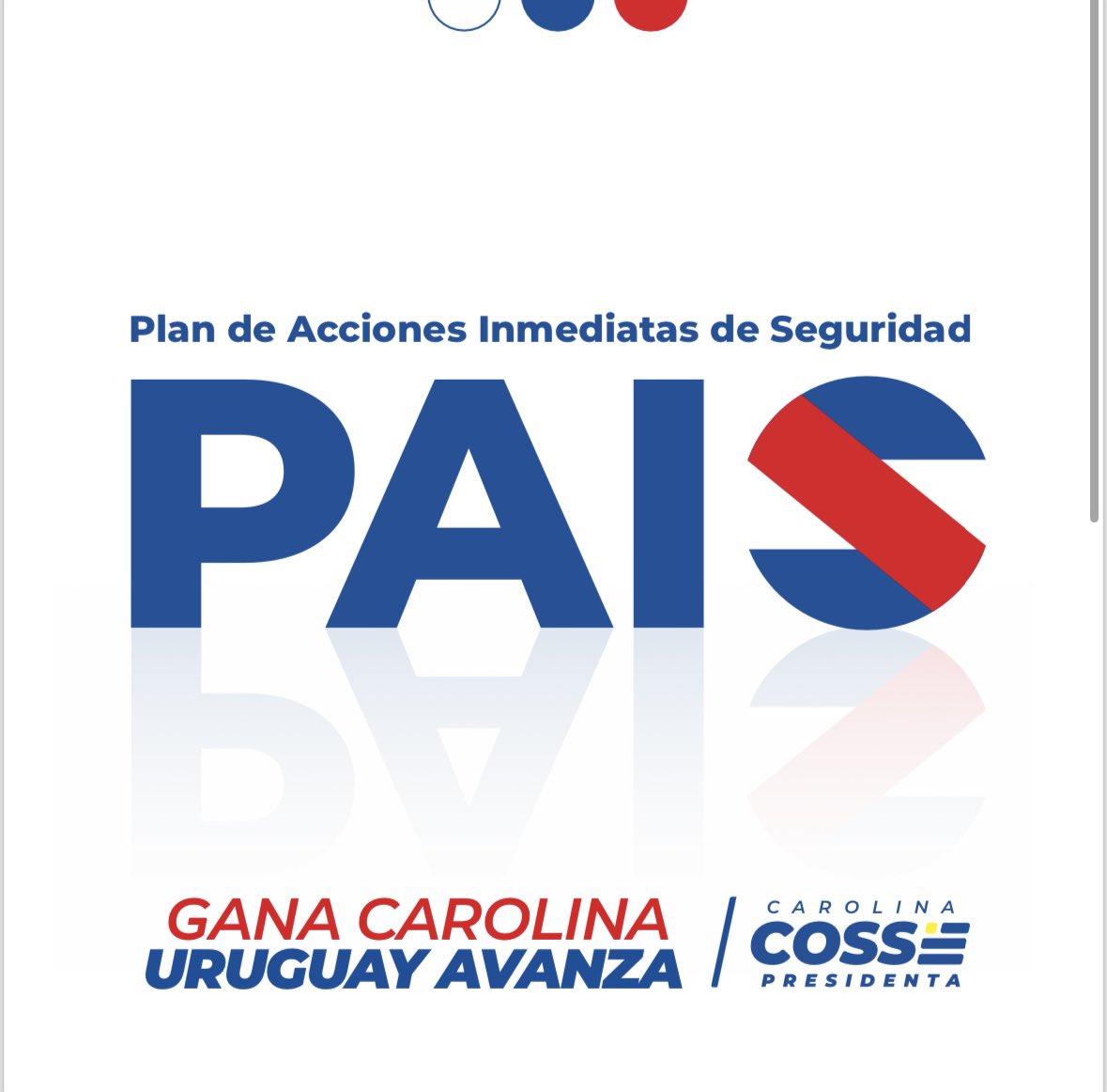 Plan de Acciones Inmediatas de Seguridad 📲 carolinacosse.uy/sites/default/…