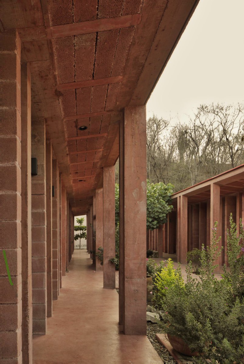 Manuel Cervantes Estudio tweet media