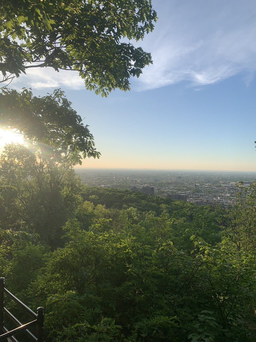 Holt_LewisRhys's tweet image. Montréal at its finest! 🌳☀️