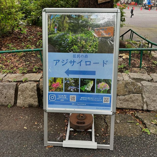 jou562's tweet photo. アジサイロード📍新宿中央公園
#あじさい #アジサイ #紫陽花 #hydrangea https://t.co/RplcgGMu5Z