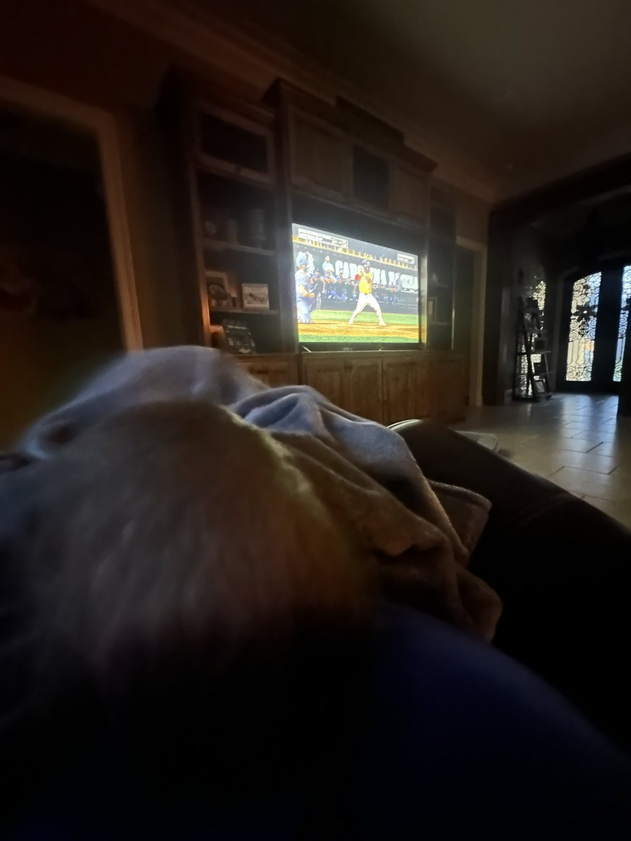 MikeCowart14's tweet image. Thankful that baseball gives us these moments. He’s learning the game, and enjoying it! Let’s Geaux Tigers! @LSUbaseball let’s keep it going! #growthegame #lovethegame #teachthegame