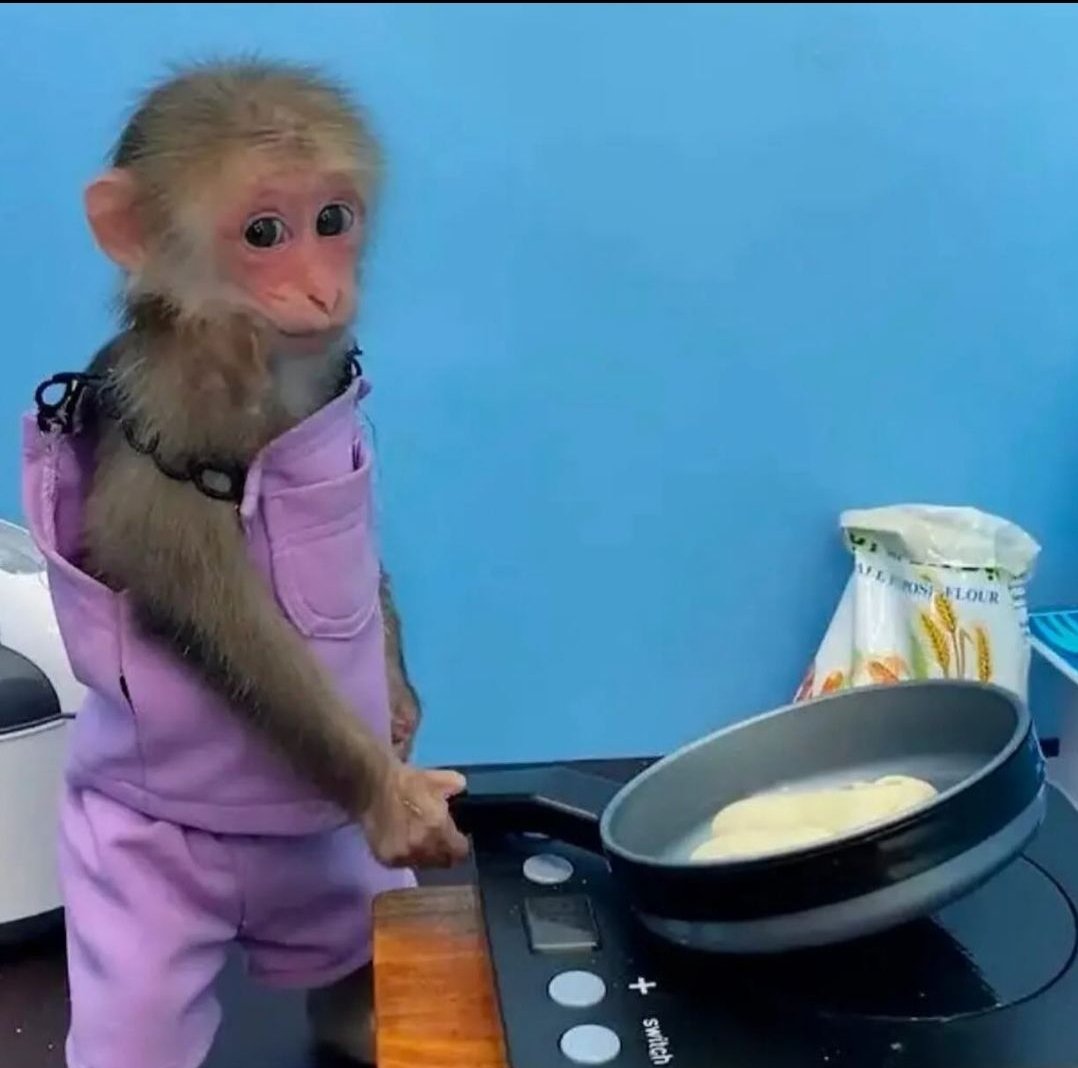 who wants pamcakes? they're not poison ones