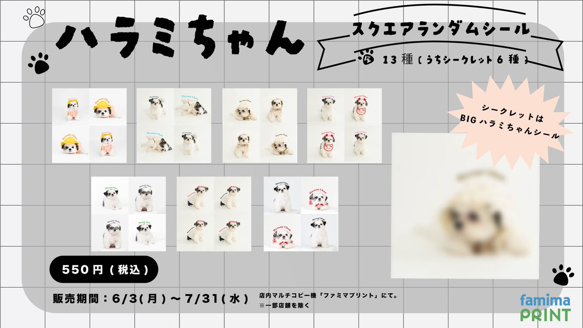ハラミちゃん🐾 チワズー(チワワ×シーズー)のハラミちゃん🐮がファミマプリントに登場！ ほっこり可愛いランダムブロマイドとシールで、 シークレットは何がでるかお楽しみ♪  詳細はこちら↓ https://t.co/fnxFWwskfp #ファミマプリント