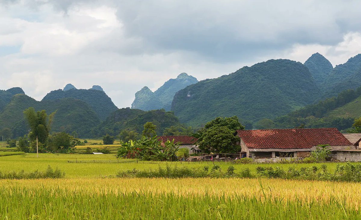 vntravelprice's tweet image. Viaggi Northeast Vietnam - 07 Giorni - Da $ 446
Godetevi un viaggio nelle rinomate destinazioni del Vietnam nord-orientale, lasciando le vostre impressioni su questi luoghi iconici. Immergetevi nelle vibranti culture delle....
#viaggi #viaggio #viaggiare 
vietnamtravelprice.com/it/viaggi-viet…