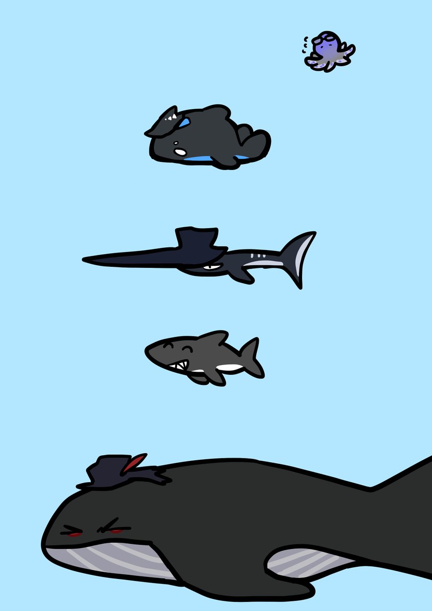 뇨끼 (@nyoggi1) on Twitter photo 