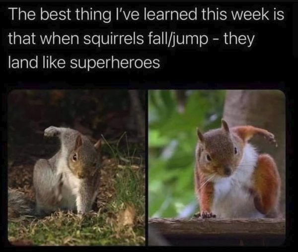 Papa Woof und Krampus und Bleaken (@woofknight) on Twitter photo 