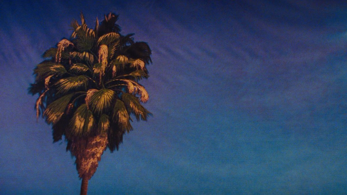 FilmUpdates's tweet image. ‘LA LA LAND’ is back on Netflix.