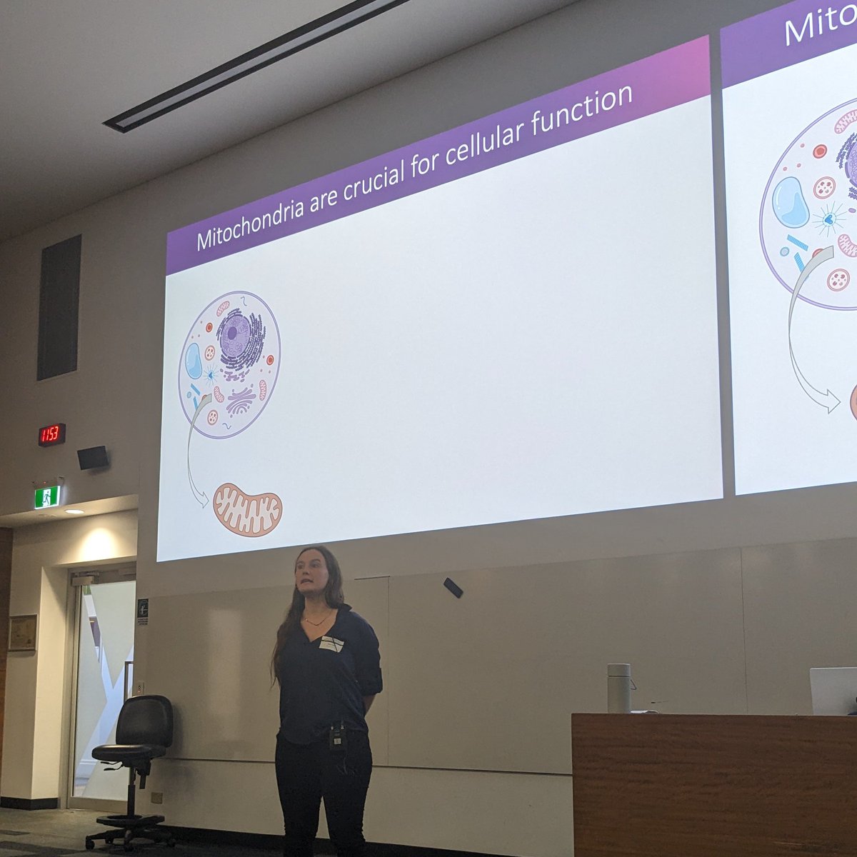 Wrapping up the middle session with Anne Hahn from <a href="/ZurynLab/">Zuryn Lab</a> 🪱 🧬 <a href="/QldBrainInst/">Queensland Brain Institute, UQ</a> #BCDBM <a href="/anzsc/">ANZSC</a>