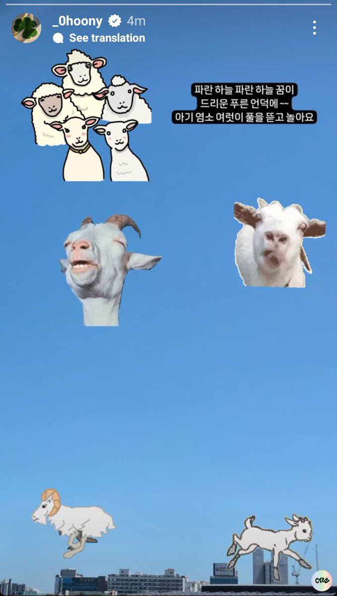 cuitantheboyz's tweet image. selamat hari raya idul adha warga 🐻 dari younghoon.......