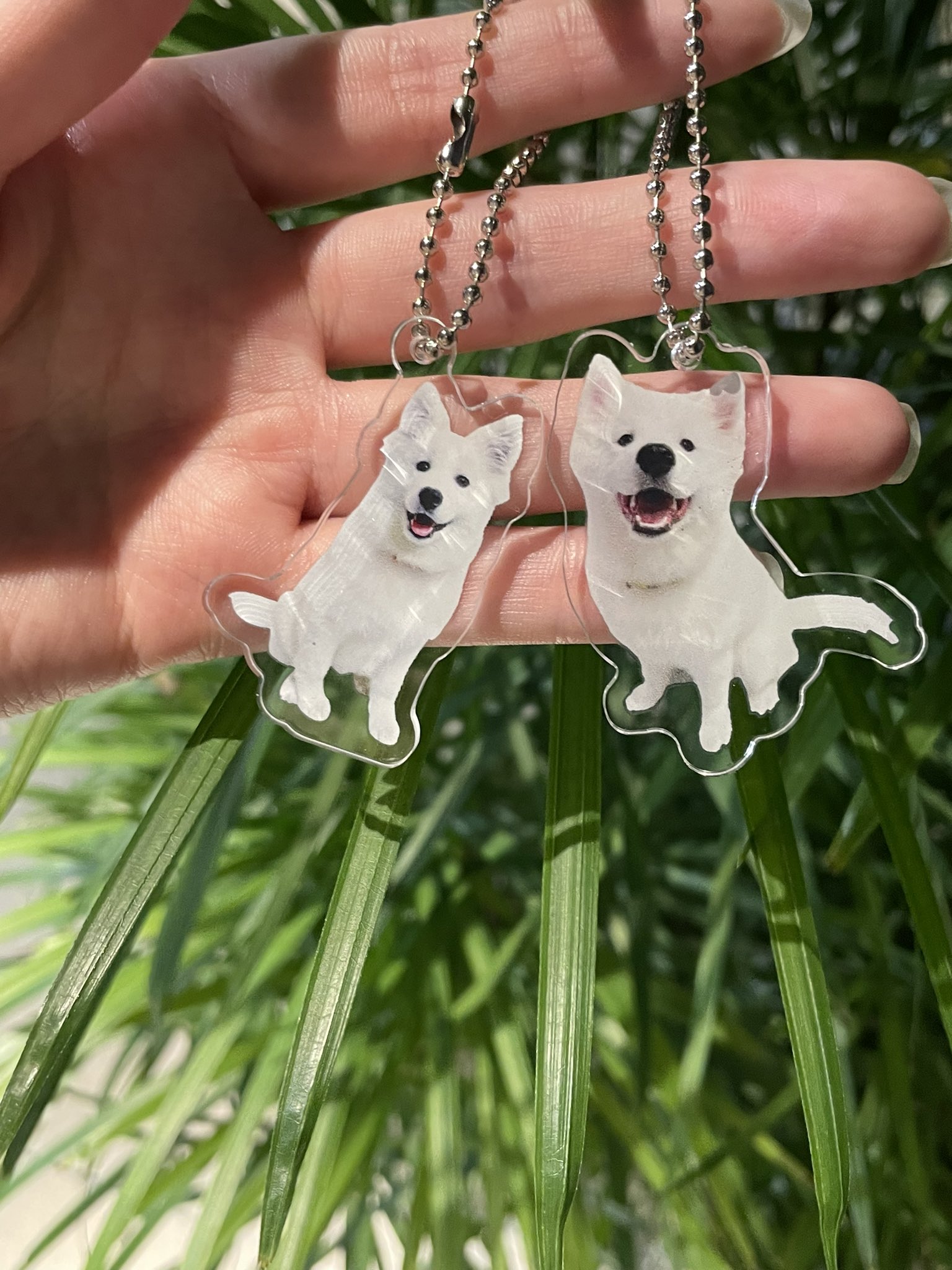 サモエドカフェ moffu 原宿 / Samoyed Cafe moffu on X:  