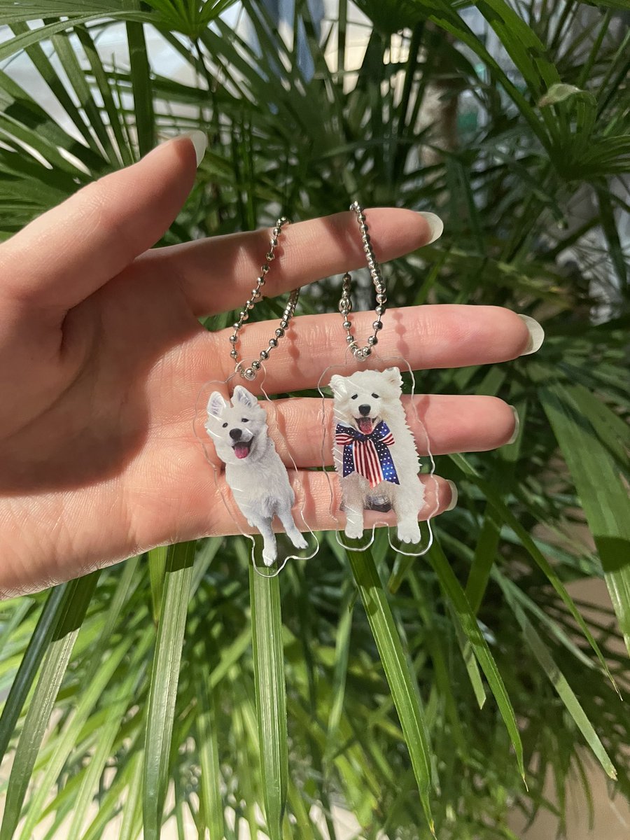 グッズ情報】 キーホルダーの種類が全わんちゃん分揃いました