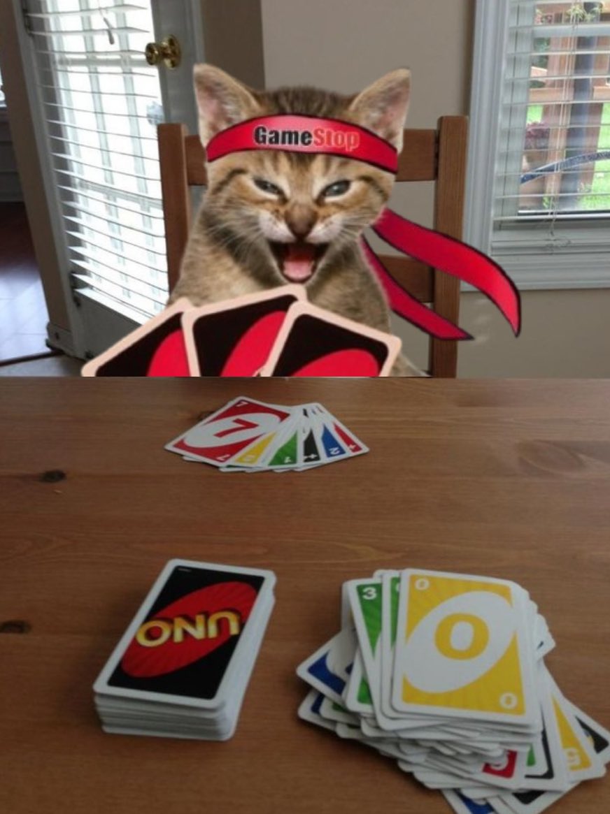 UnoRoaringkitty's tweet photo. https://t.co/ZjRhj4DUTm