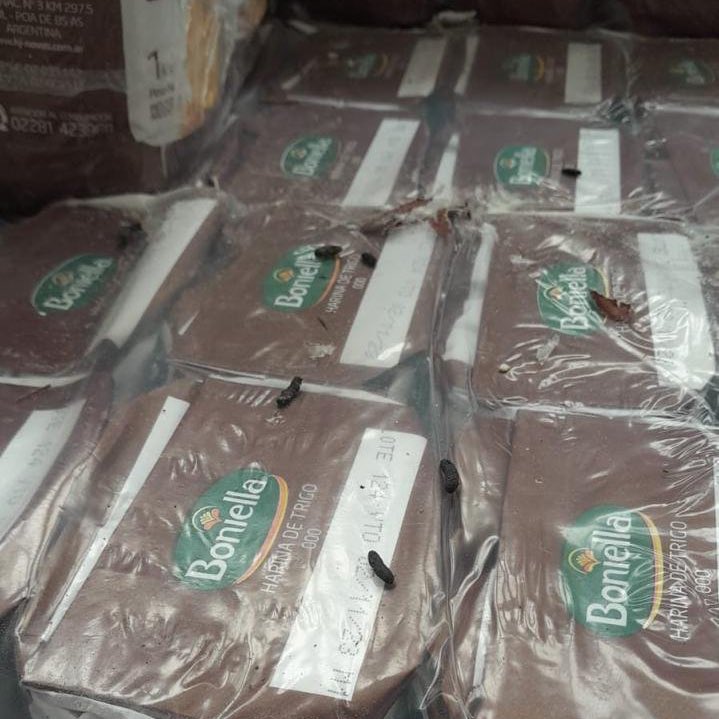 ChadAbrazo's tweet photo. 🚨URGENTE🚨 #LaRataDeMayra

Miles de Kilos de arroz vencido y harina de trigo llenas de caca de rata en los depósitos de la Secretaría de Desarrollo Social de @mayrasmendoza en Quilmes. 

Cuando un Kirchnerista te quiera decir cómo se tienen que hacer las cosas recordale que ellos le dieron de comer alimento podrido y cagado por ratas a niños y familias necesitadas.