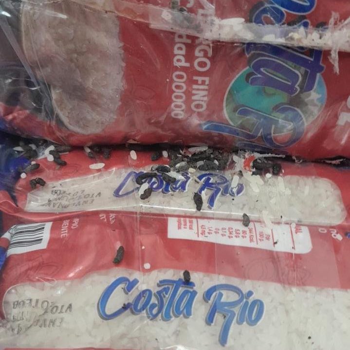 ChadAbrazo's tweet photo. 🚨URGENTE🚨 #LaRataDeMayra

Miles de Kilos de arroz vencido y harina de trigo llenas de caca de rata en los depósitos de la Secretaría de Desarrollo Social de @mayrasmendoza en Quilmes. 

Cuando un Kirchnerista te quiera decir cómo se tienen que hacer las cosas recordale que ellos le dieron de comer alimento podrido y cagado por ratas a niños y familias necesitadas.