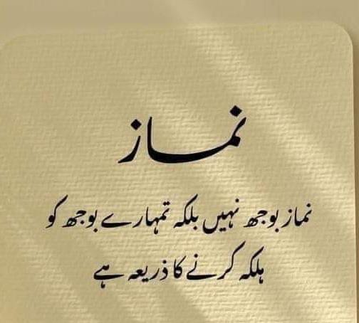 chawais93's tweet photo. Good morning https://t.co/AJTMFJu5YM