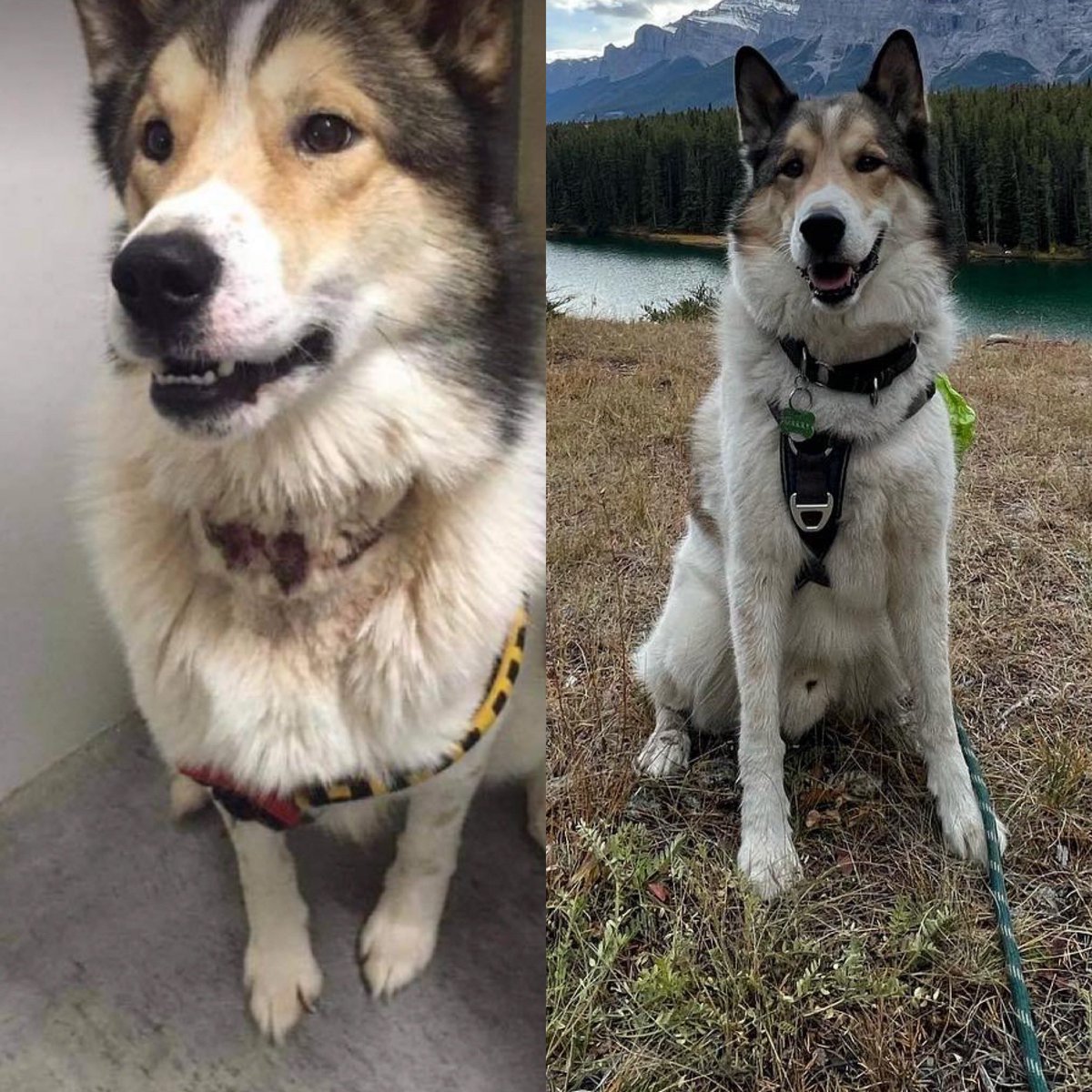 Burning Ideas tweet media