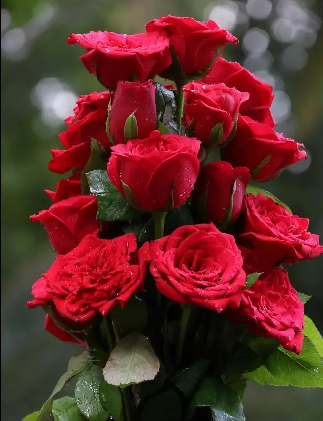 🥰♥️❤️ السلام علیکم 
صبح بخیر۔۔۔۔