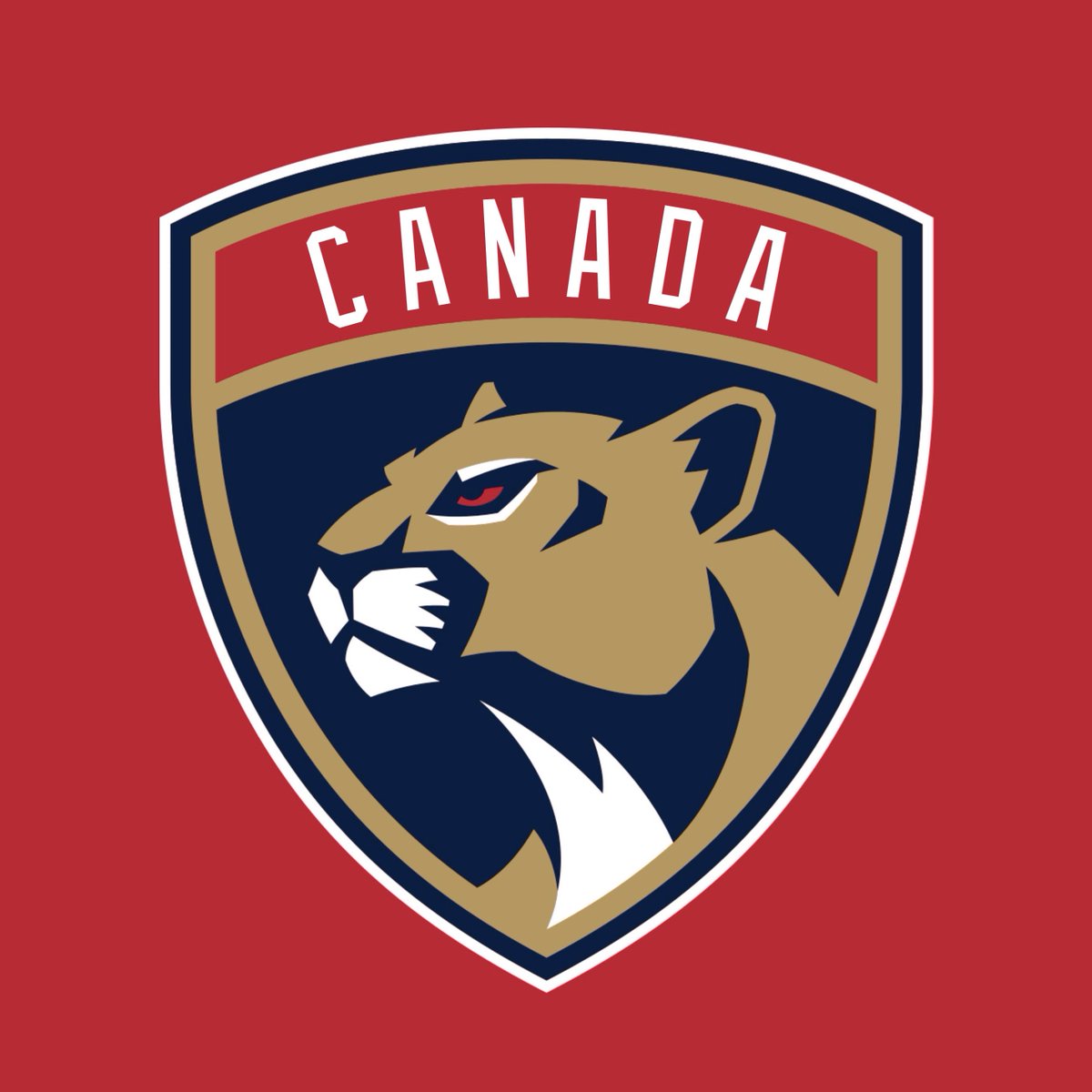 the florida panthers, canada's team