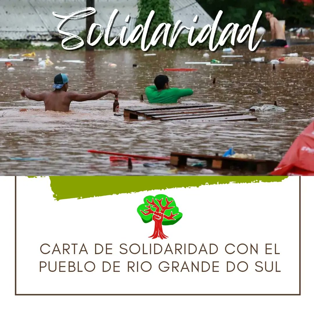 InterEcosoc's tweet photo. Carta de solidaridad con el pueblo de Río Grande do Sul. https://t.co/Twixx8E0Df