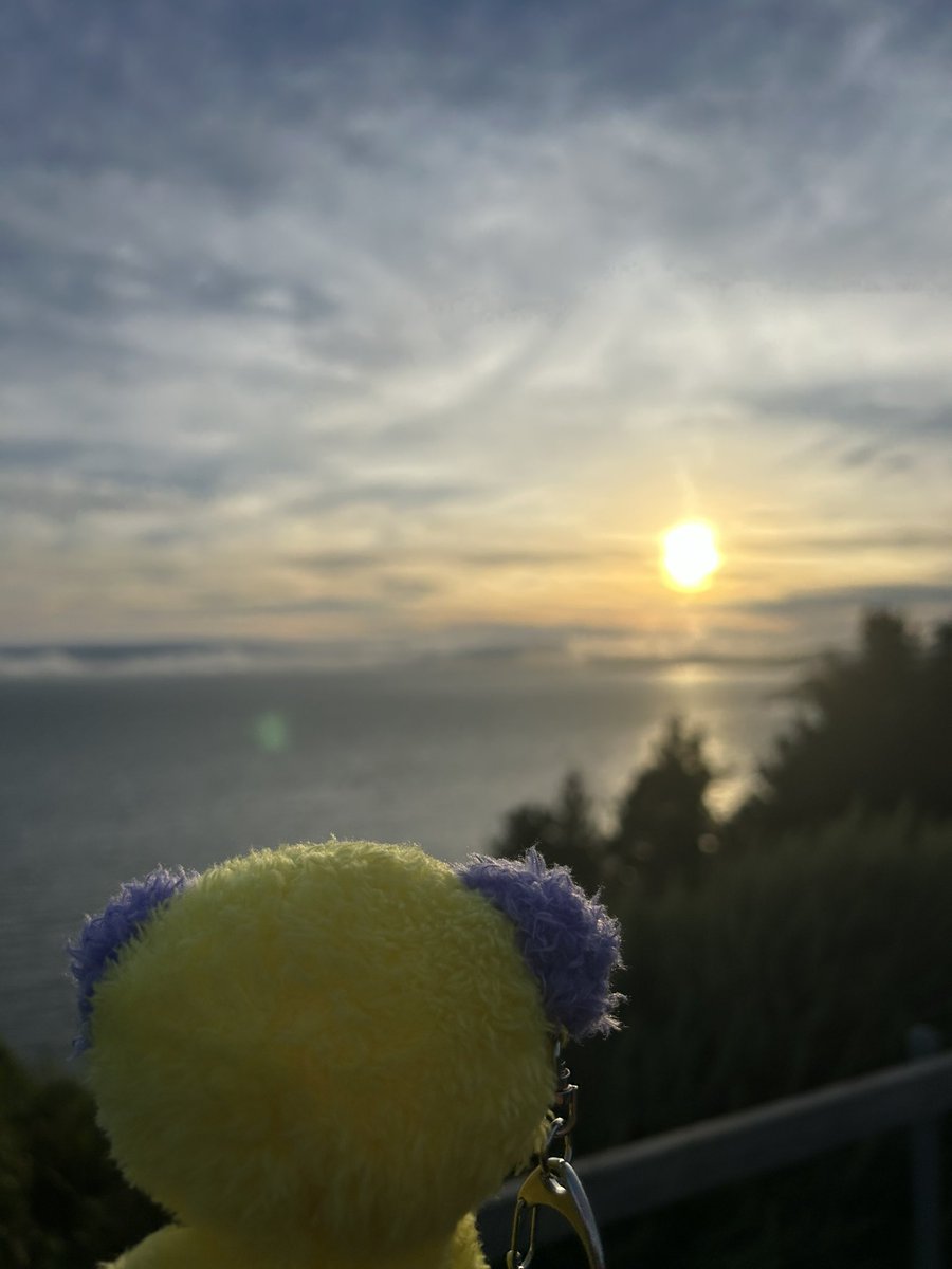 FishingBossJin's tweet photo. #Chimmy is ready for the sunset!!!! #Muirbeach #Califonia https://t.co/qWrvM6QRus