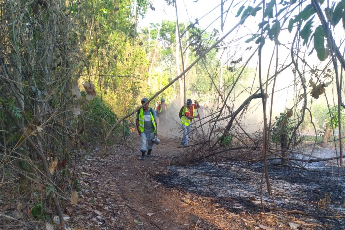 GerAmbienteSPS's tweet photo. Hoy, 2 de junio, desde las 2 de la tarde, nuestras cuadrillas de combate de incendio forestal de la Gerencia de Ambiente de la Municipalidad de San Pedro Sula, trabajan incansablemente para controlar y extinguir el incendio forestal registrado en el sector del Cerro Campisa. https://t.co/TrpKVTA9Qi