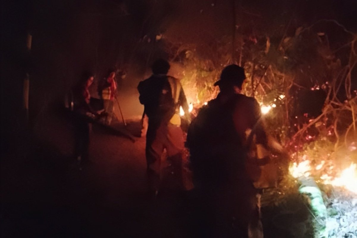 GerAmbienteSPS's tweet photo. Hoy, 2 de junio, desde las 2 de la tarde, nuestras cuadrillas de combate de incendio forestal de la Gerencia de Ambiente de la Municipalidad de San Pedro Sula, trabajan incansablemente para controlar y extinguir el incendio forestal registrado en el sector del Cerro Campisa. https://t.co/TrpKVTA9Qi