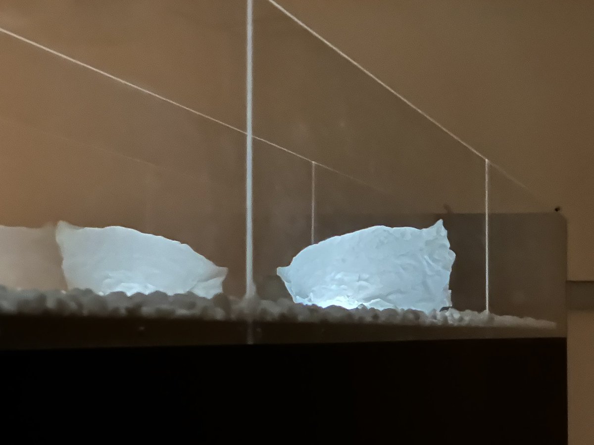 narumin's tweet image. @tocmoc の「袋のある風景」、良かったな。展示昨日で終わっちゃったけど。