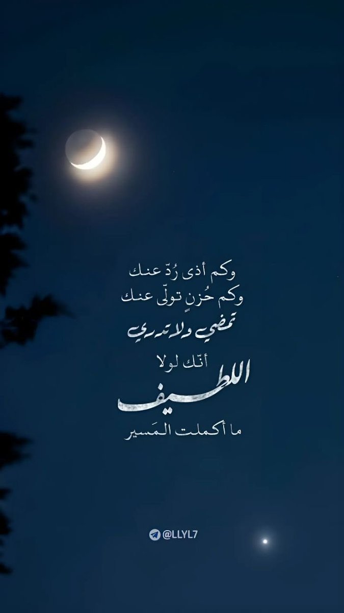 الزعيمة مُهره ❀❥❥❥ tweet media