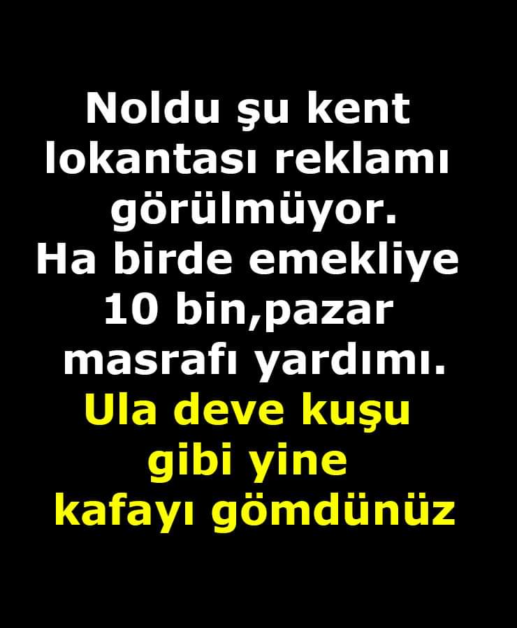 Ali Özlük tweet media