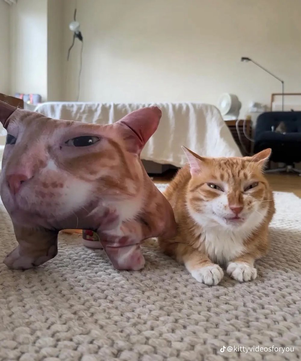 bricheese223366's tweet image. The mad scientist and her Homunculus