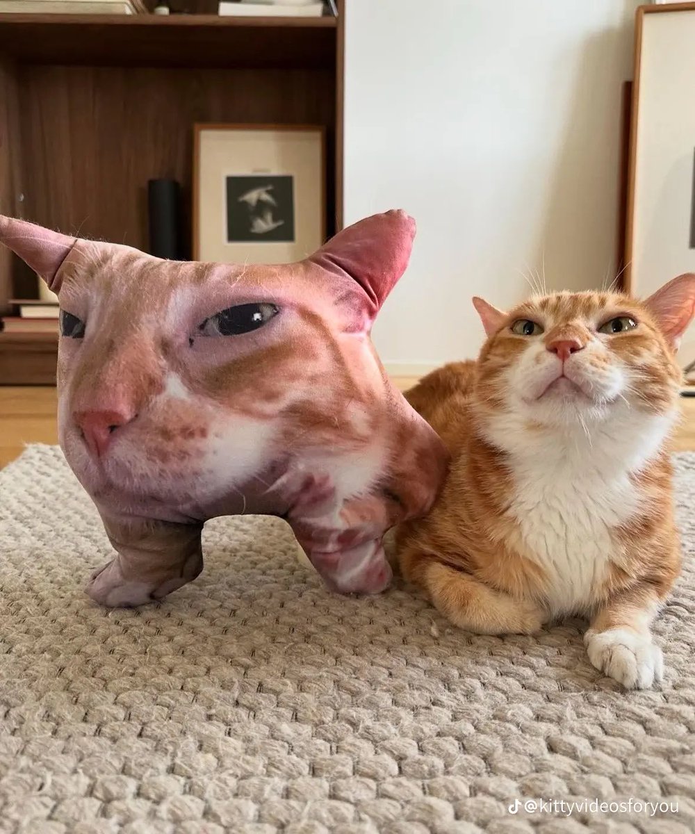 bricheese223366's tweet image. The mad scientist and her Homunculus