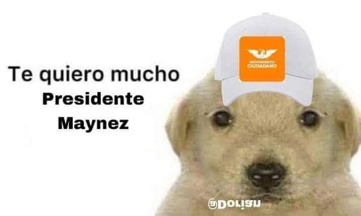 Misael gonzalez tweet media