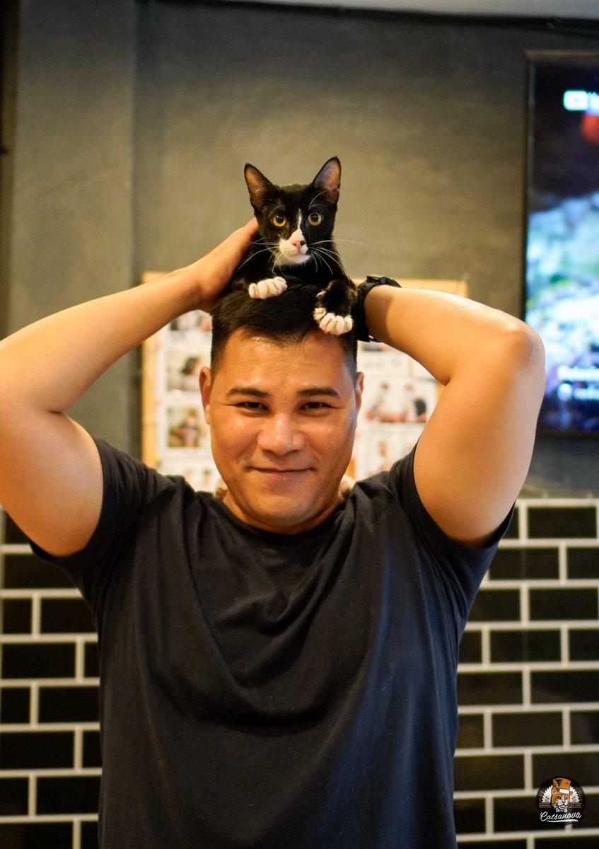 CatsanovaBkk's tweet image. กุดมอรนิ่งวันจันทร์ กับข่าวดีประจำสัปดาห์นี้
แบทแมนน้อย ได้บ้านแล้ววววว 🎉