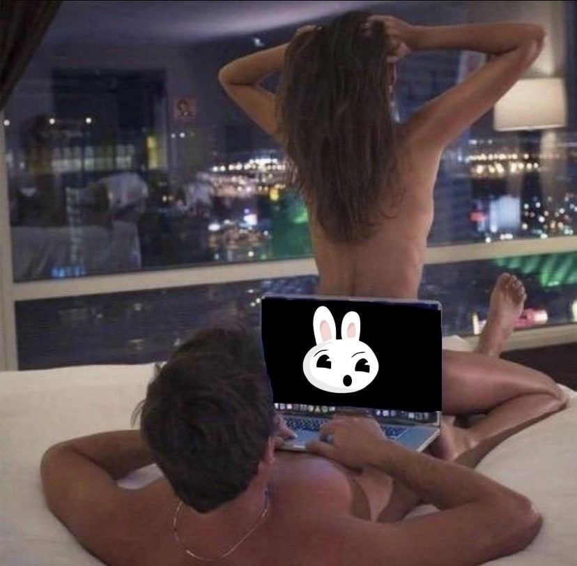 Buck the Bunny $GME Mascot tweet media