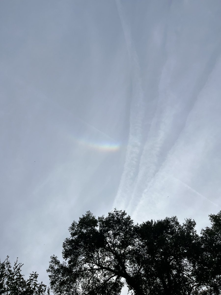 kakawiduck's tweet photo. some great, but fleeting, circumzenithal arcs #weather #opticalphenomena #meteorology #clouds #cloudspotting https://t.co/dyyiXczRZP