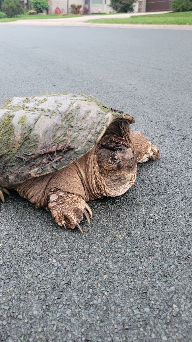 Dr. Kathryn Nelson, call sign BEAKER tweet media