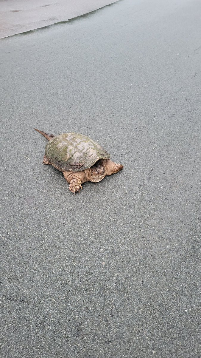 Dr. Kathryn Nelson, call sign BEAKER tweet media