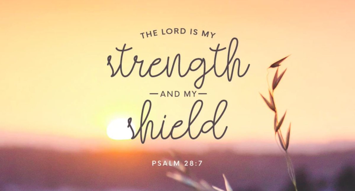OlyPlumber's tweet photo. "The Lord is my strength and my shield." ~ Psalm 28:7 https://t.co/OSzndhbfm0