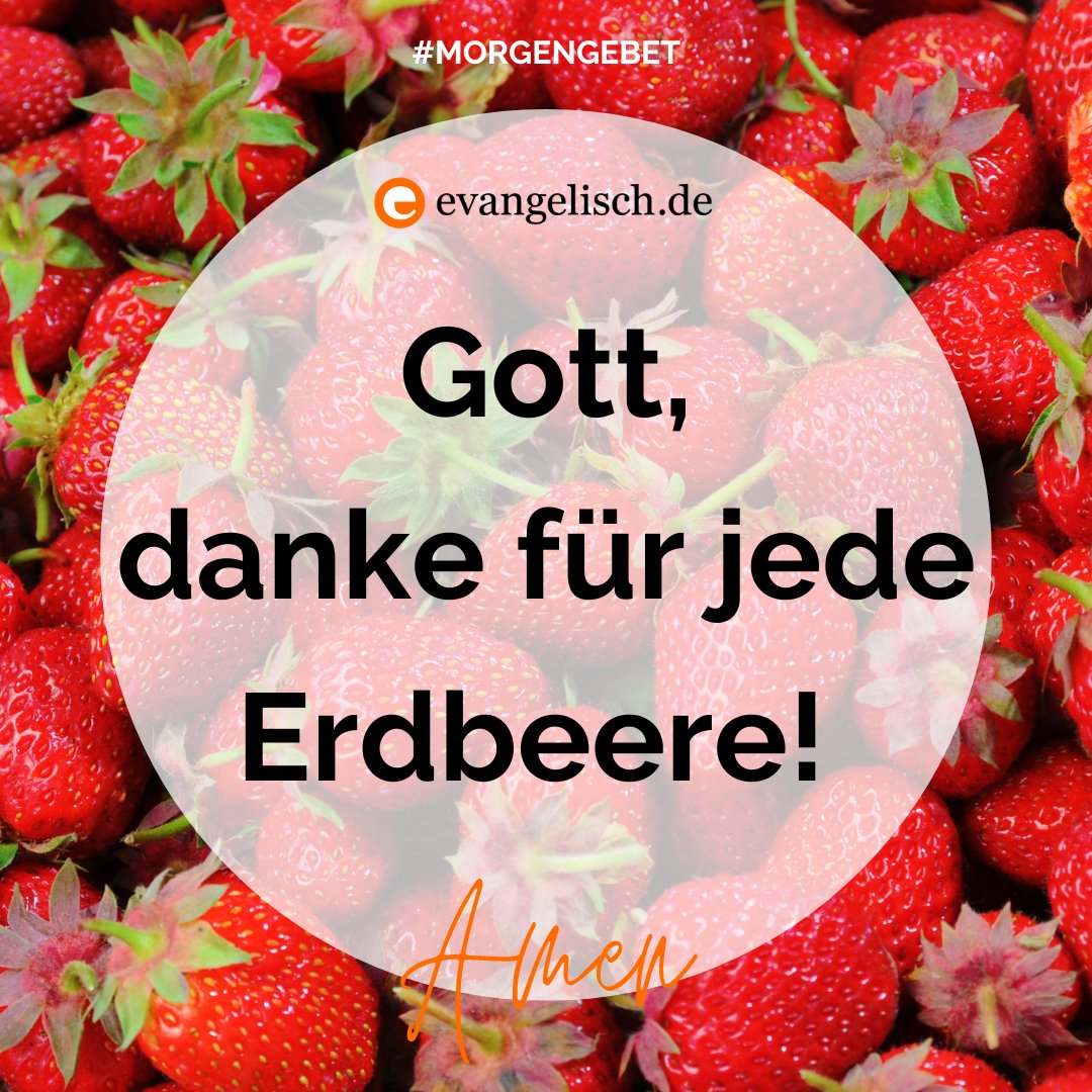 Unser #Morgengebet für heute:
Gott, danke für jede Erdbeere! Amen