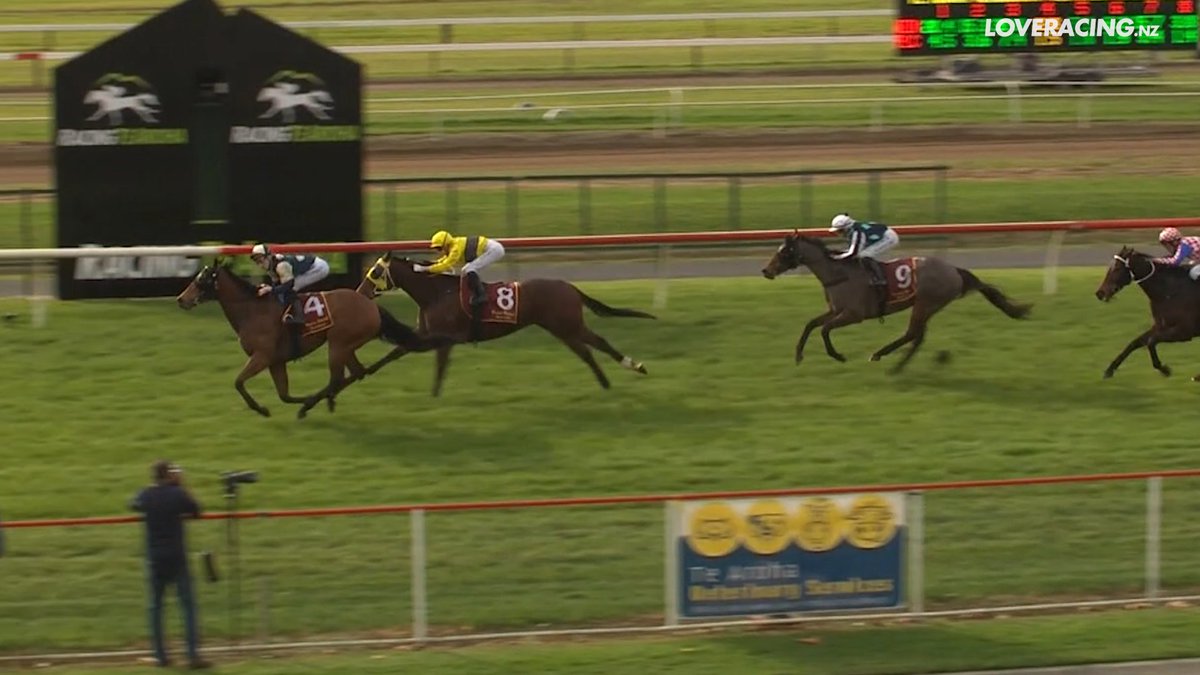 Last year's Group One 2000 Guineas winner Pier (Proisir x La Vitesse) made a bold statement that he is back and ready to rock and roll when resuming in the Open 1300m at Te Aroha racecourse in the hands of Sam for father and sister training duo Darryn &amp; Briar Weatherley 🤩🍐