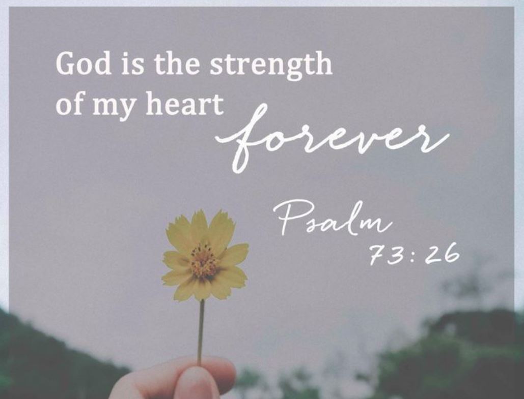 OlyPlumber's tweet photo. "God is the strength of my heart forever." ~ Psalm 73:26 https://t.co/BYZ2UVrLqV