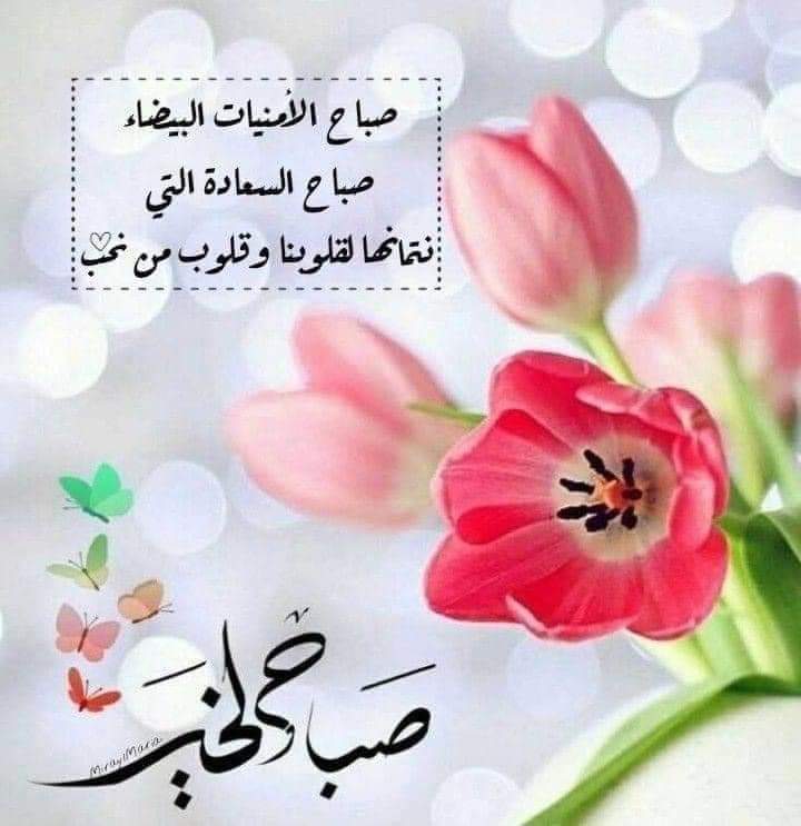 ‏مثـ⸙²͢⁰͢²⁴ـنــى⸙ᘓ᭄ᵛ͢⍣⃝ tweet media