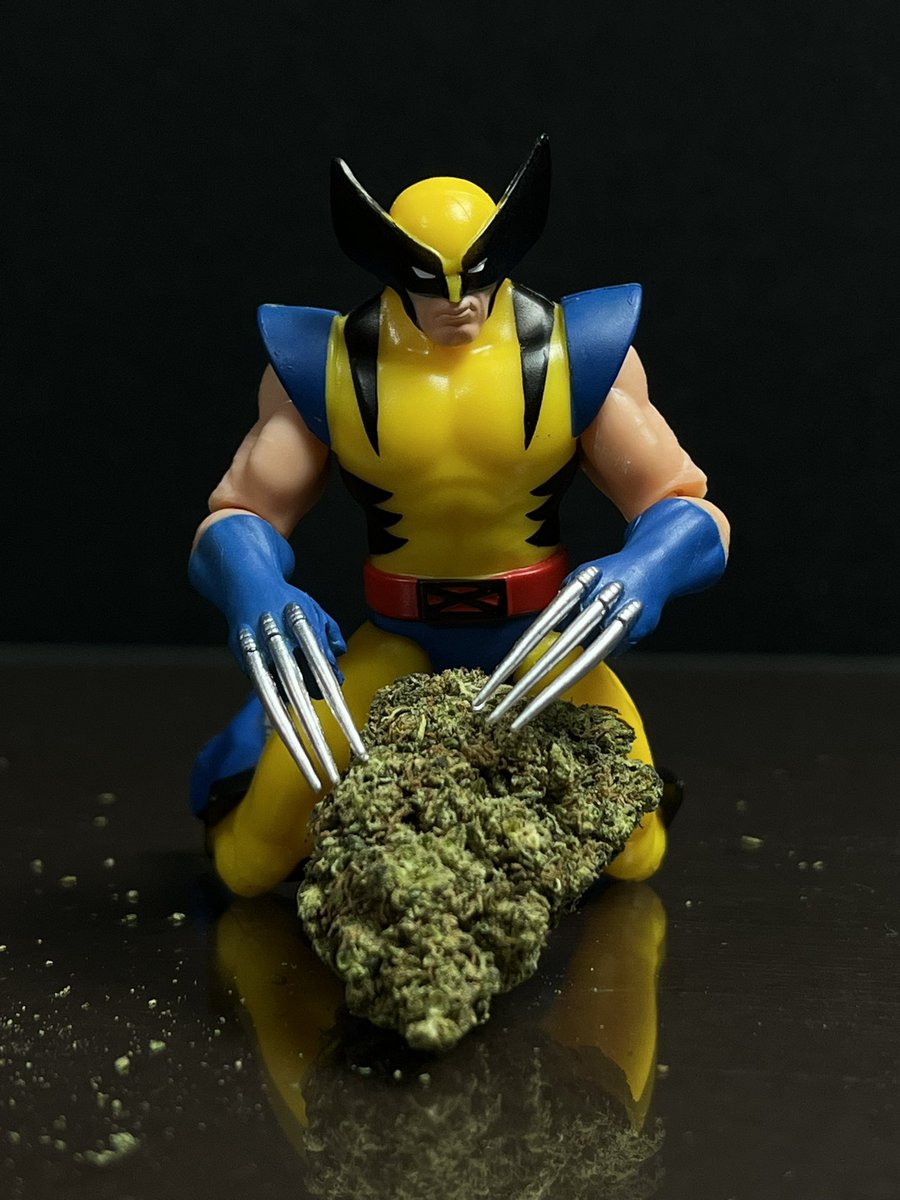 Mariguanillo's tweet image. 