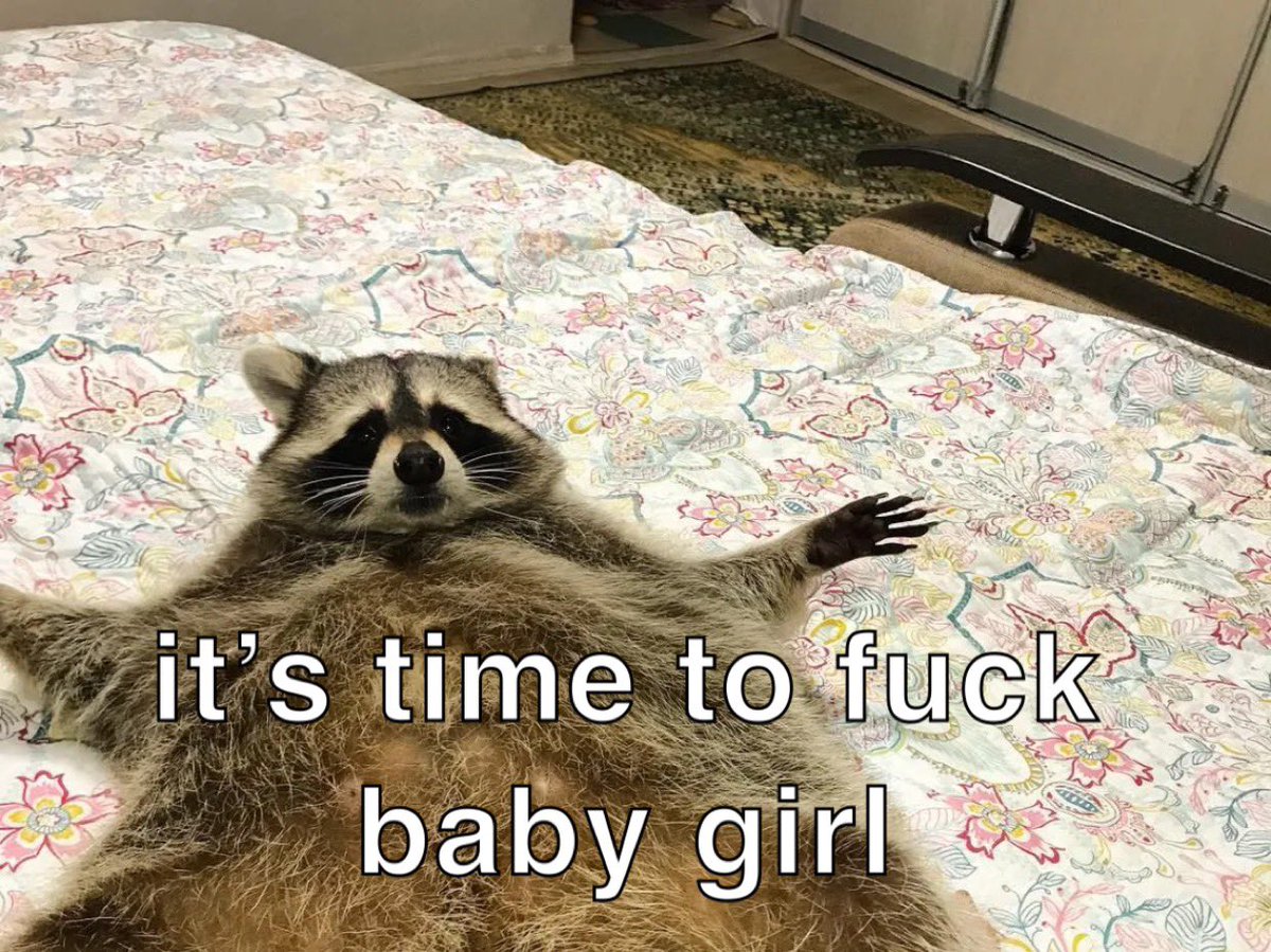 raccoonesthetic's tweet photo. https://t.co/gNyseI2H03