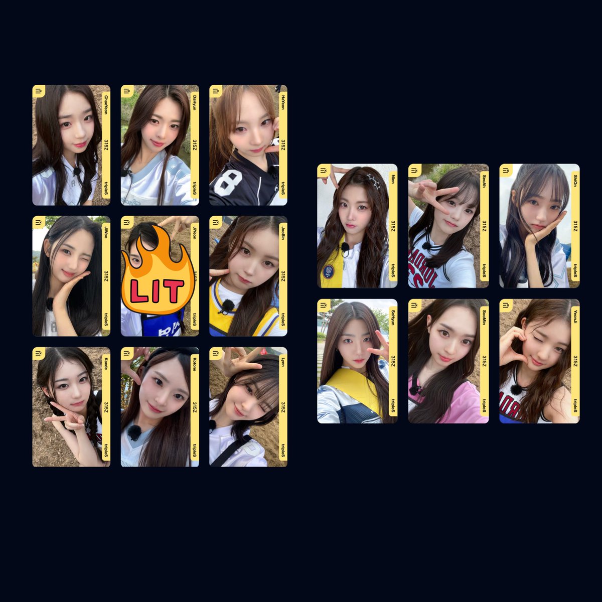 🐻‍❄️ tweet media