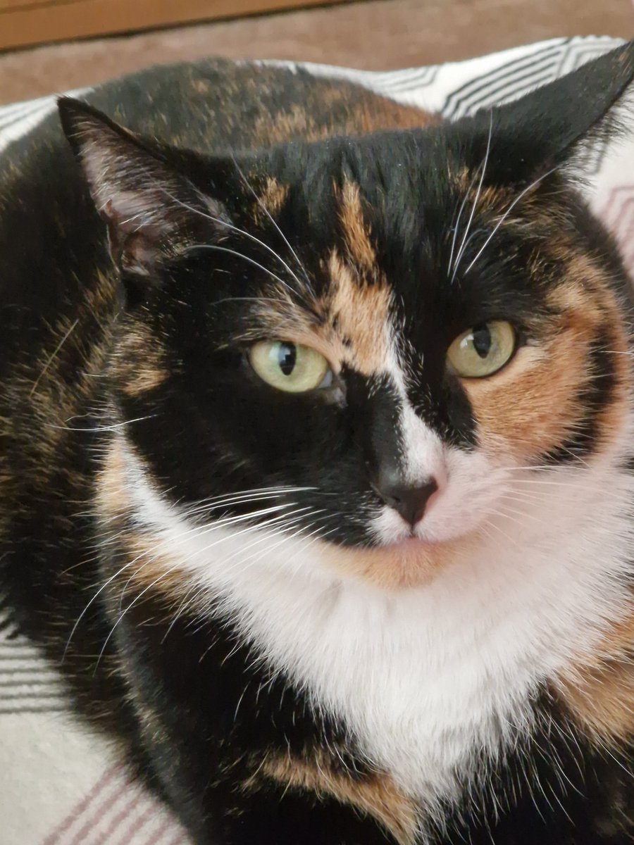 Happy 6th Birthday Cassie Mummy's beautiful bubba