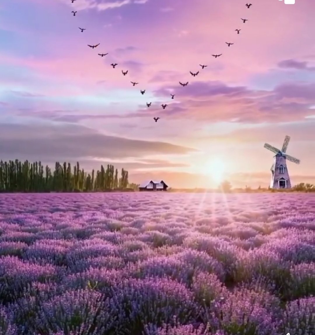 zmnvslt's tweet image. #Es #Selamünaleyküm
Sabah şeriflerimiz hayr olsun
Rabbim hakkımızda hayırlara vesile eylesin.
Muhammedi muhabbetle..❤️🥀⚘️🕊❤️
#Hayrlı #sabahlar⚘️🕊☕️💐🥀