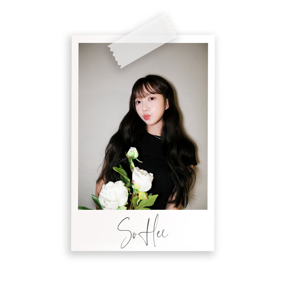 [📢] SOHEE OFFICIAL SNS OPEN🎉

소희의 공식 SNS가 오픈되었습니다!
앞으로 더 다양한 모습과 소식을 여러분께 전하려고 합니다❣
소희의 새로운 여정을 함께해 주세요💖

X - x.com/SOHEE_official_
Instagram - instagram.com/sohee_offcl/
Facebook - tinyurl.com/mtpfta22

#SOHEE #소희