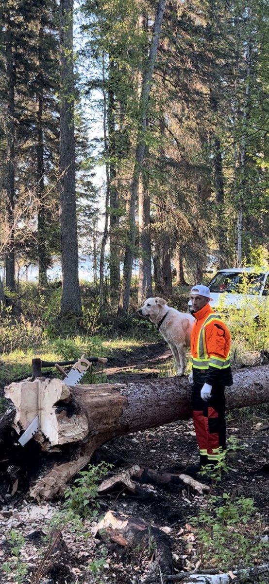 Reginald Lapointe tweet media