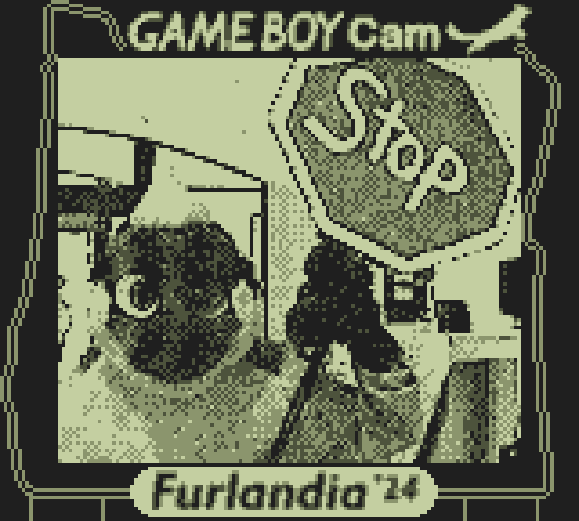 BraixFire's tweet photo. Took some time, but finally getting around to posting the #GameBoyCamera photos I took at #Furlandia #Furlandia2024!! https://t.co/Af5PTwcq2F